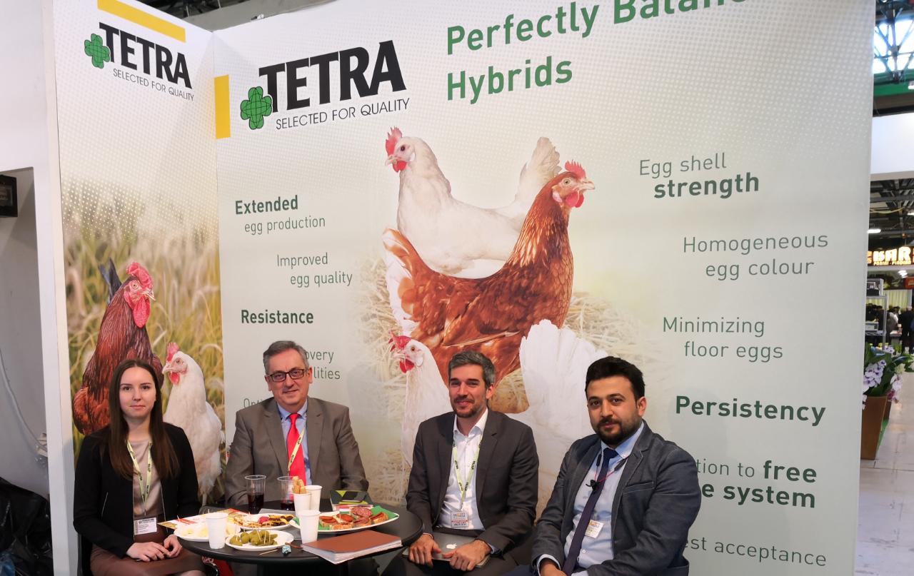 ALMUNQETH Group at FIARA VICOLA